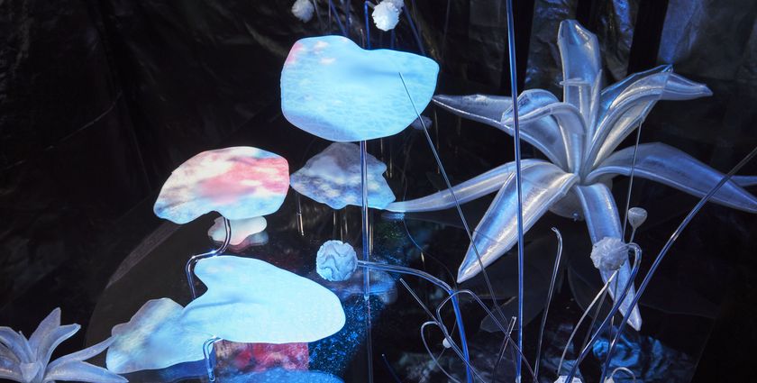 Dutch Design Week 2022: Designing a Better Future