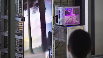 Dutch Design Week 2024: Life in The Synthocene Era
