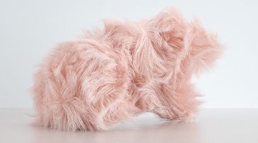 Conscious Fur