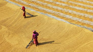 Climate Change and Women’s Rights: A Dual Battle for a Sustainable Future