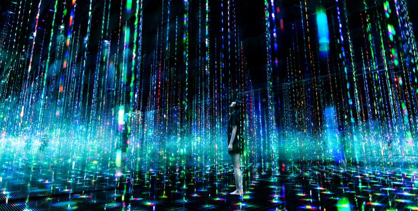 Cracking the Algorithm Code