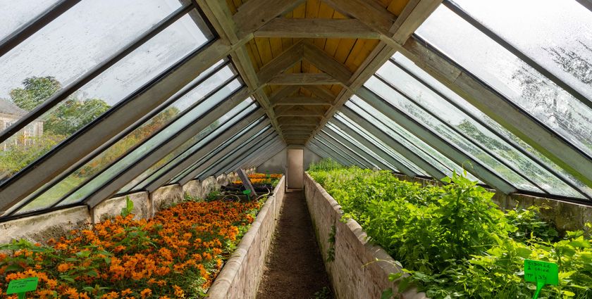 Future Five: Sustainability