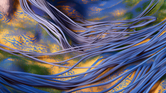 World Labs' AI system brings photos to life with interactive 3D worlds