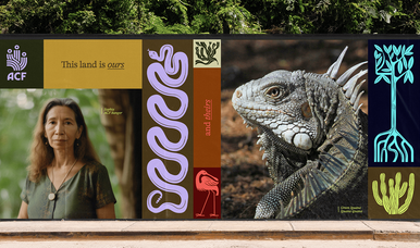 Rebranding Nature
