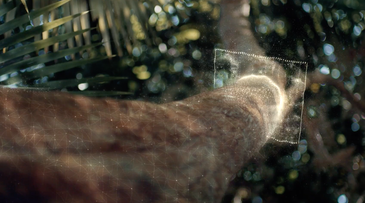 Natura creates sonic identity using the pulse of the Amazon