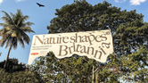 Britannia’s tree-friendly billboards redefine outdoor advertising