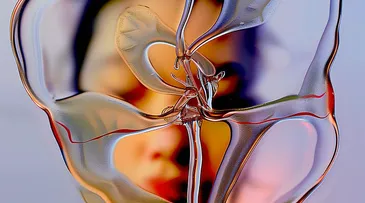 The Synthocene Era: Merging Human and Machine Intelligence